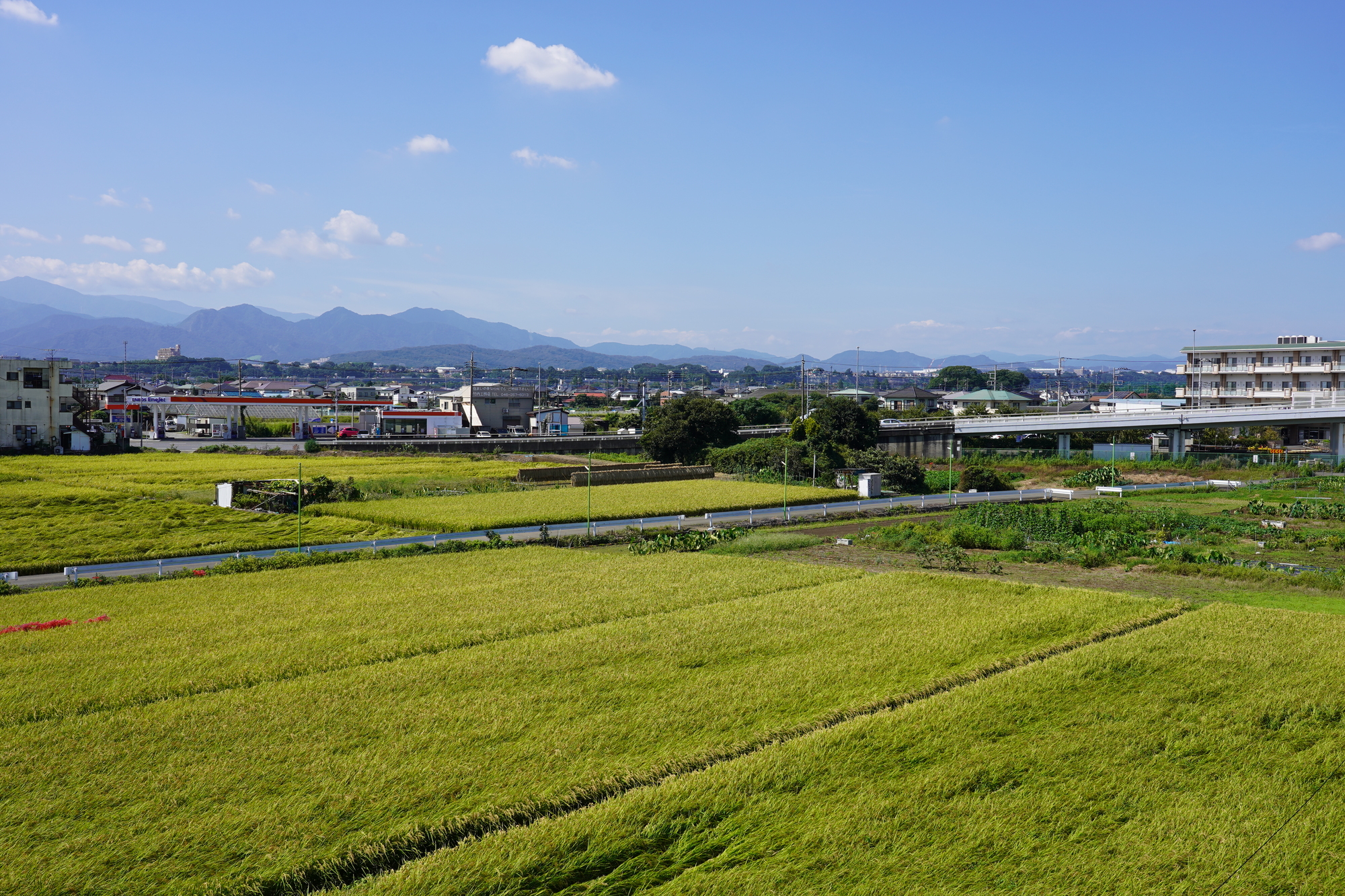 市街化調整区域