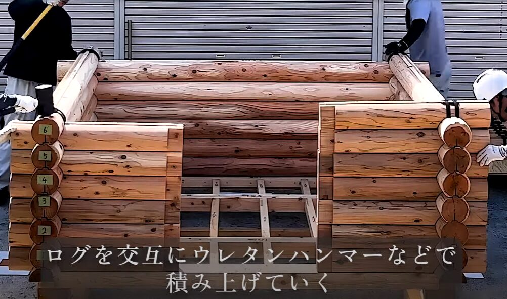 思わず二度見する”小屋TINY